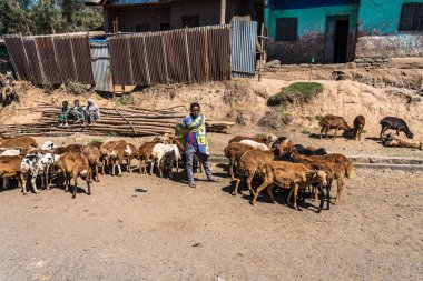 Gondar, Etiyopya - 07 Şubat 2020: Gondar 'dan Simien dağlarına giden yolda Etiyopya halkı, Kuzey Etiyopya, Afrika.