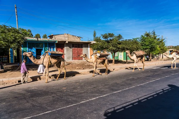 Aksum Äthiopien Februar 2020 Äthiopier Auf Dem Weg Von Axum — Stockfoto