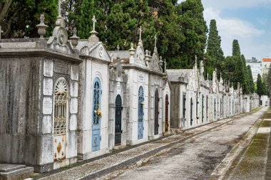 Lizbon 'daki Cemiterio dos Prazeres, Avrupa' daki Portekiz aile mezarlıklarının detayları ve mahzenleri.