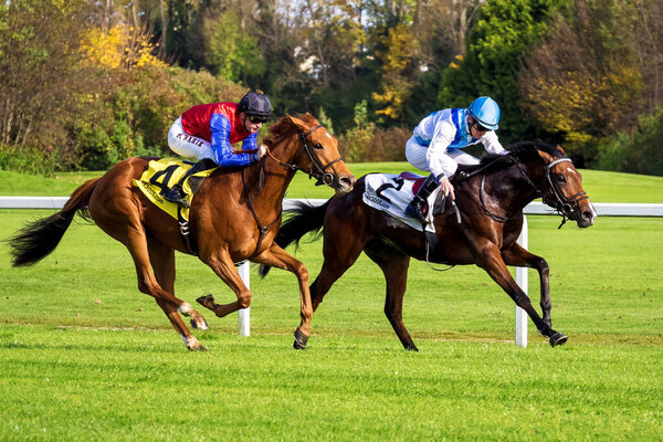 Munich, Germany - Oct 07, 2019: Horse racing at the racecourse in Munich-Riem, Germany, Europe