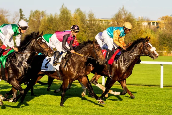 Munich Alemania Oct 2019 Carreras Caballos Hipódromo Munich Riem Alemania —  Fotos de Stock