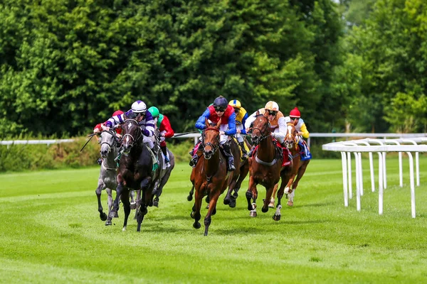 Münih, Almanya - 07 Ekim 2019: Münih-Riem, Almanya, Avrupa 'da at yarışı