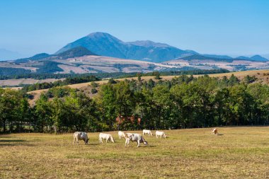 Saint Baudille et Pipet 'teki manzara manzarası, Vercors' taki Trieves yerel makamları birliği, Fransa Alpleri, Avrupa 'daki Fransa
