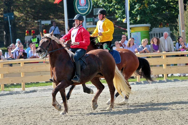 Munique Alemanha Setembro 2018 Corrida Cavalos Oktoberfest Munique Alemanha — Fotografia de Stock