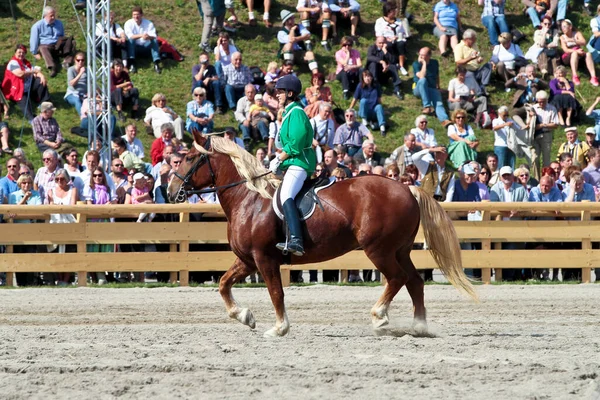 Mnichov Německo Září 2018 Dostihy Oktoberfestu Mnichově — Stock fotografie