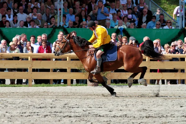 Múnich Alemania Septiembre 2018 Carrera Caballos Oktoberfest Múnich Alemania — Foto de Stock