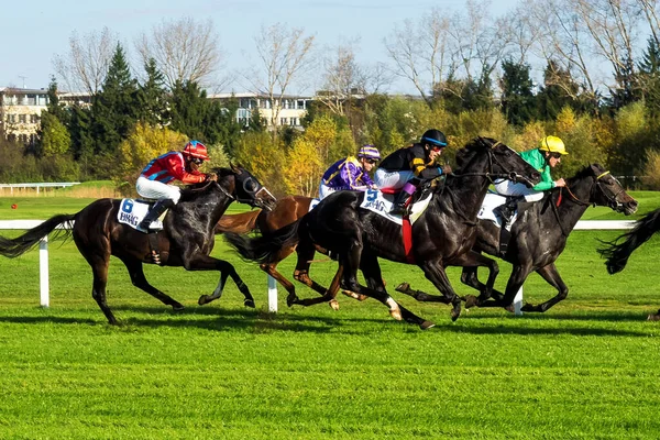Munique Alemanha Outubro 2019 Corrida Cavalos Hipódromo Munique Riem Alemanha — Fotografia de Stock