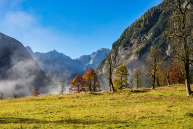 Ahornboden 'daki akçaağaç ağaçlarının sonbahar manzarası, Karwendel dağları, Tyrol, Avusturya