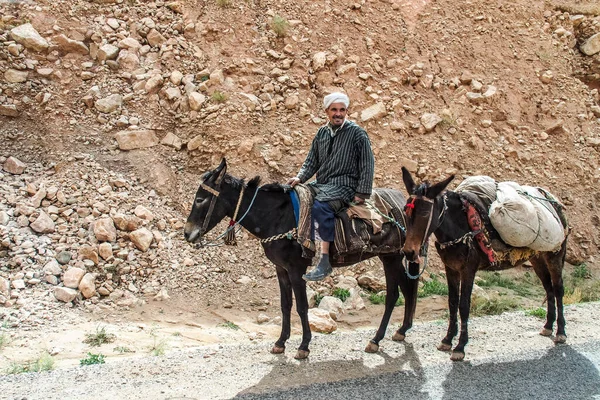 戴兹峡谷 Dades Gorge Morocco 2019年10月20日 柏柏尔人居住在戴兹峡谷 Dades Gorge 摩洛哥阿特拉斯山脉的戴兹峡谷 大峡谷深度从200米到500米不等 — 图库照片
