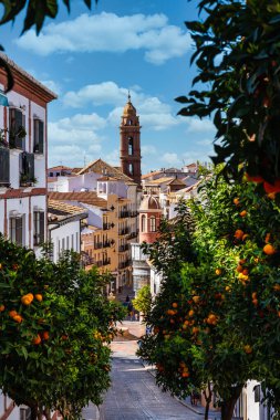 San Sebastian kilise kulesi Antequera, Malaga Eyaleti, Endülüs, İspanya, Batı Avrupa