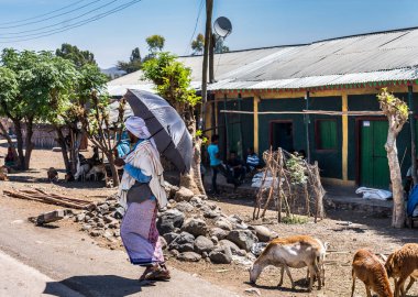 Lalibela, Etiyopya - 12 Şubat 2020: Etiyopya halkı Lalibela 'dan Gheralta' ya, Tigray Kuzey Etiyopya, Afrika 'da görüldü