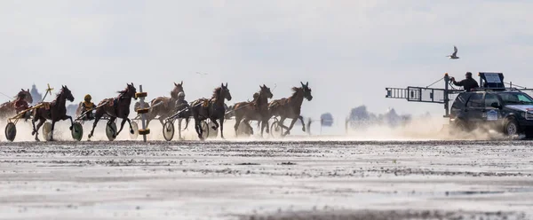 ドイツ クックスハーフェン 2019年8月25日 ドイツのドゥーナー ヴァトレンネンで開催される泥のフラットの馬レースでの乗馬 — ストック写真