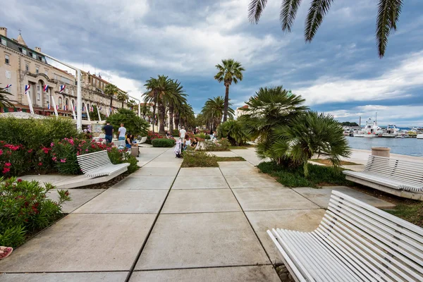 Split, Hırvatistan - 22 Haziran 2020: Splitska Riva Gezinti Alanı ve liman ile Hırvatistan 'ın Split kentindeki Diocletian sarayı arasında palmiye ağaçları bulunuyor