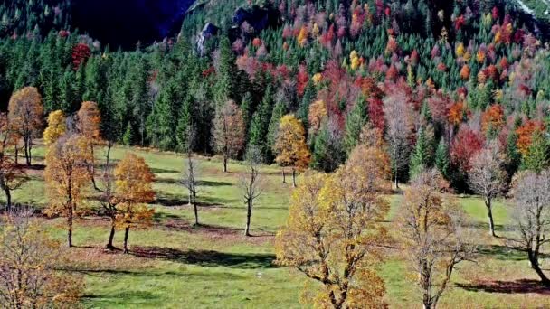 奥地利蒂罗尔Karwendel山Ahornboden枫树的秋季景观 — 图库视频影像