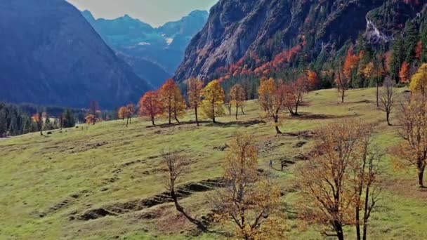 Autunno Veduta Degli Aceri Ahornboden Karwendel Mountains Tirolo Austria — Video Stock