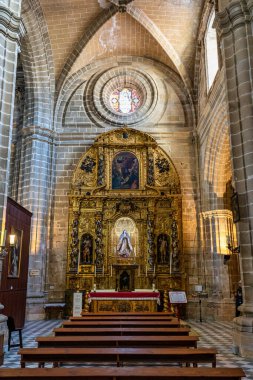 Jerez de la Frontera Katedrali 'nin içi, Katedral de San Salvador. Cadiz, Endülüs, İspanya