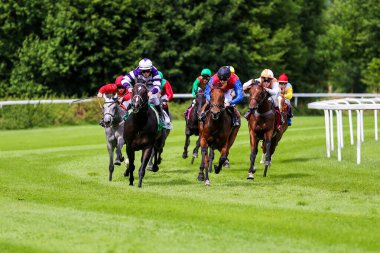 Münih, Almanya - 07 Ekim 2019: Münih-Riem, Almanya, Avrupa 'da at yarışı