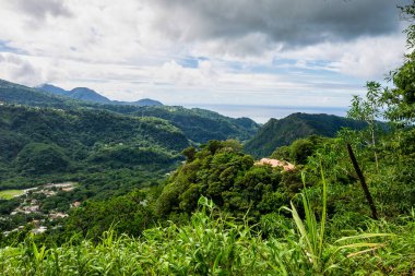 Trafalgar şelalelerine giden yolun manzarası. Morne Trois Pitons Ulusal Parkı, UNESCO Miras Alanı, Dominica, Leeward Adaları