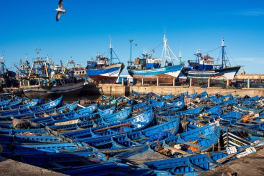 Essaouira, Fas - 24 Ekim 2019: Afrika 'daki Essaouira, Fas limanında bir sürü mavi balıkçı teknesi