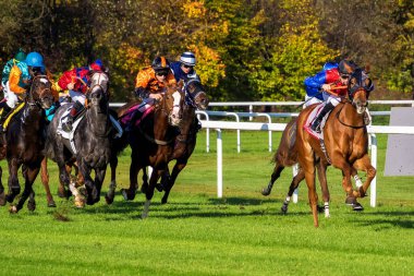 Münih, Almanya - 07 Ekim 2019: Münih-Riem, Almanya, Avrupa 'da at yarışı