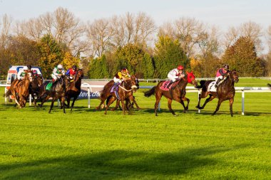 Münih, Almanya - 07 Ekim 2019: Münih-Riem, Almanya, Avrupa 'da at yarışı