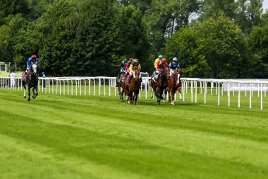 Münih, Almanya - 07 Ekim 2019: Münih-Riem, Almanya, Avrupa 'da at yarışı