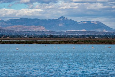 Avrupa 'da Santa Pola tuz fabrikası ve kuş rezervi Elche Alicante İspanya