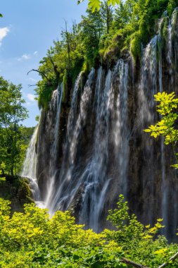 Hırvatistan 'ın Plitvice Gölleri Ulusal Parkı' nda turkuaz suyla şelalenin görkemli manzarası. Avrupa. Hırvatistan 'ın en eski ve en büyük ulusal parklarından biri. UNESCO Dünya Mirası