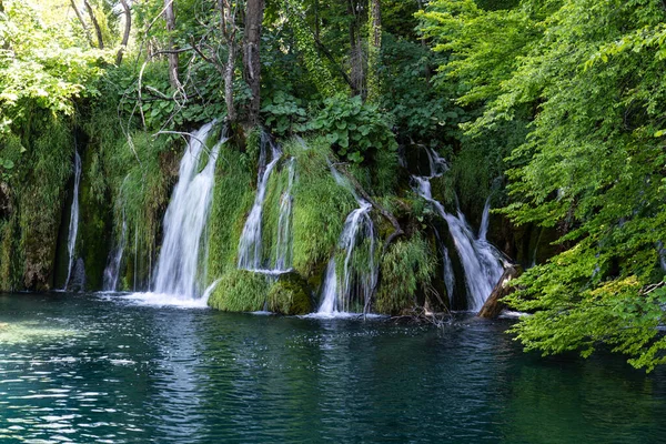 Hırvatistan 'ın Plitvice Gölleri Ulusal Parkı' nda turkuaz suyla şelalenin görkemli manzarası. Avrupa. Hırvatistan 'ın en eski ve en büyük ulusal parklarından biri. UNESCO Dünya Mirası