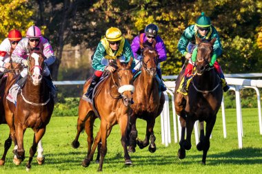 Münih, Almanya - 07 Ekim 2019: Münih-Riem, Almanya, Avrupa 'da at yarışı