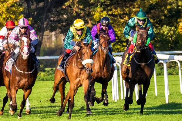 Münih, Almanya - 07 Ekim 2019: Münih-Riem, Almanya, Avrupa 'da at yarışı