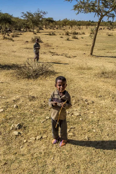 Axum, Etiyopya - 11 Şubat 2020: Etiyopyalı çocuklar Axum 'dan Gheralta' ya giderken görüldü, Tigray Kuzey Etiyopya, Afrika