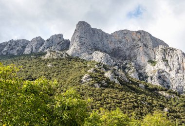 İspanya, Cantabria, Picos de Europa dağlarında Fuente De. Picos de Europa 'nın kalbinde etkileyici vadiler, yeşil çayırlar, kayalık dağlar ve otlayan sığırlar bulduk..
