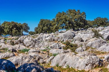 Malaga, Endülüs, İspanya 'nın küçük Cuevas del Becerro kasabası yakınlarındaki manzara