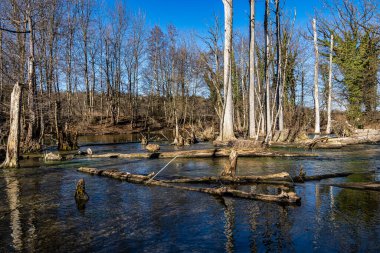 Almanya 'nın Bavyera, Starnberg yakınlarındaki Gauting, Wuermtal' daki pirinç değirmeninde başlayan ormandaki güzel yürüyüş patikası.
