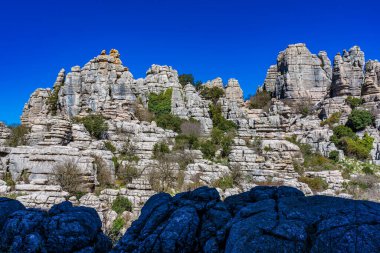 Kayaların eşsiz şekli, 150 milyon yıl önce Jurasik Çağı sırasında meydana gelen erozyondan kaynaklanmaktadır. Tüm dağ, deniz suyu altındaydı. Torcal de Antequera