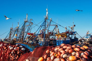 Essaouira, Fas - 24 Ekim 2019: Afrika 'daki Essaouira, Fas limanında bir sürü mavi balıkçı teknesi