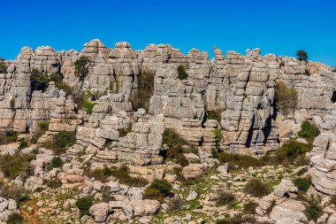 Kayaların eşsiz şekli, 150 milyon yıl önce Jurasik Çağı sırasında meydana gelen erozyondan kaynaklanmaktadır. Tüm dağ, deniz suyu altındaydı. Torcal de Antequera