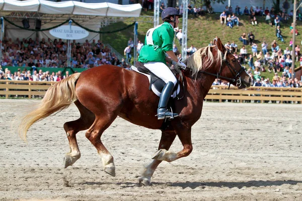 ミュンヘン ドイツ 2018年9月26日 ミュンヘンのオクトーバーフェストでの競馬 — ストック写真