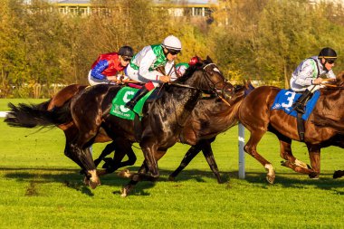 Münih, Almanya - 07 Ekim 2019: Münih-Riem, Almanya, Avrupa 'da at yarışı