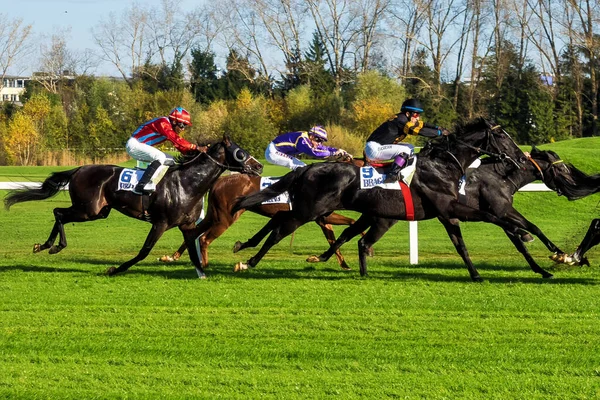 Munich Alemania Oct 2019 Carreras Caballos Hipódromo Munich Riem Alemania —  Fotos de Stock