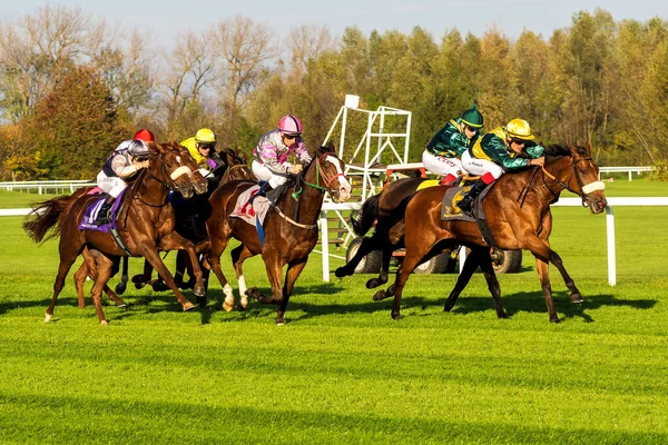 Munich Alemania Oct 2019 Carreras Caballos Hipódromo Munich Riem Alemania —  Fotos de Stock