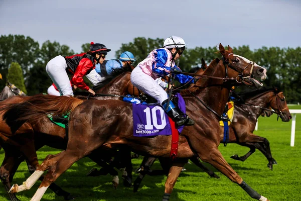 Munich Alemania Oct 2019 Carreras Caballos Hipódromo Munich Riem Alemania —  Fotos de Stock