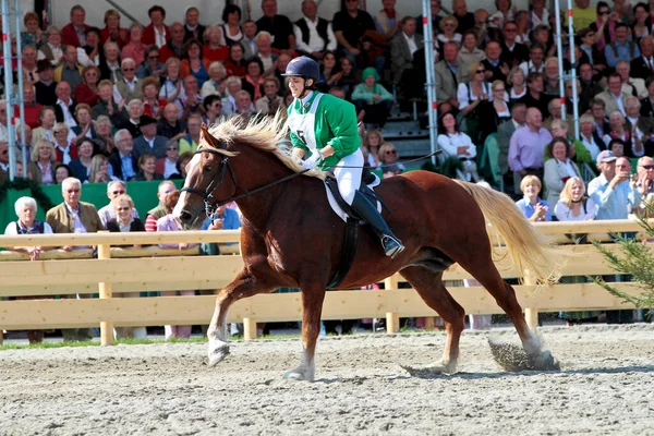 Mnichov Německo Září 2018 Dostihy Oktoberfestu Mnichově — Stock fotografie