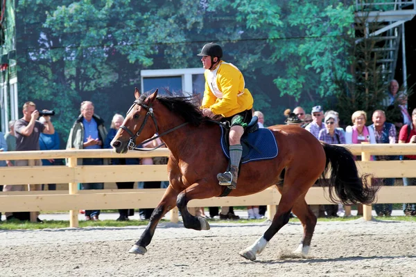 Munich Germany September 2018 Horse Race Oktoberfest Munich Germany — Stock Photo, Image