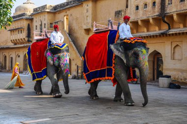 Jaipur, Hindistan - Ocak 05, 2020: Jaipur, Rajasthan, Hindistan 'daki Amber Kalesi yolunda süslenmiş fil.