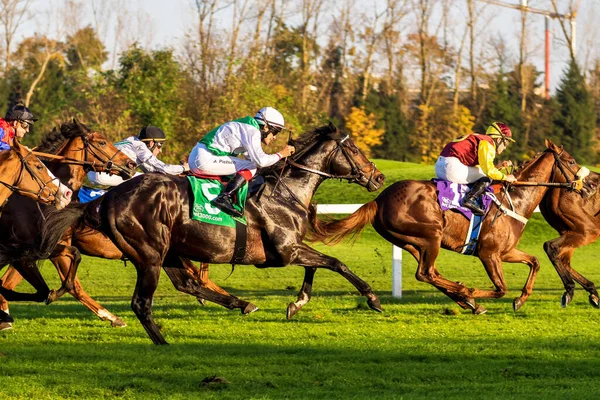 Munich Alemania Oct 2019 Carreras Caballos Hipódromo Munich Riem Alemania —  Fotos de Stock