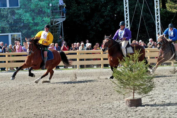 Monachium Niemcy Września 2018 Wyścig Konny Oktoberfest Monachium Niemcy — Zdjęcie stockowe