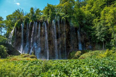 Hırvatistan 'ın Plitvice Gölleri Ulusal Parkı' nda turkuaz suyla şelalenin görkemli manzarası. Avrupa. Hırvatistan 'ın en eski ve en büyük ulusal parklarından biri. UNESCO Dünya Mirası