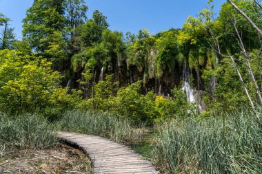 Hırvatistan 'ın Plitvice Ulusal Parkı' ndaki ahşap yol. Hırvatistan 'ın en eski ve en büyük ulusal parklarından biri. 1979 yılında UNESCO Dünya Mirası 'na eklendi.